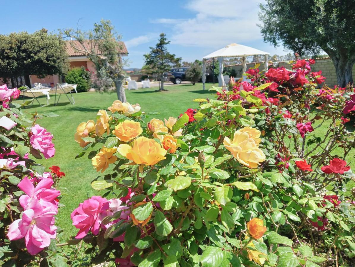 Elegance B&B Ladispoli Exterior photo