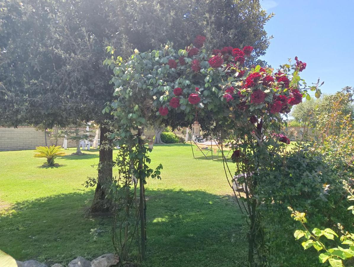 Elegance B&B Ladispoli Exterior photo