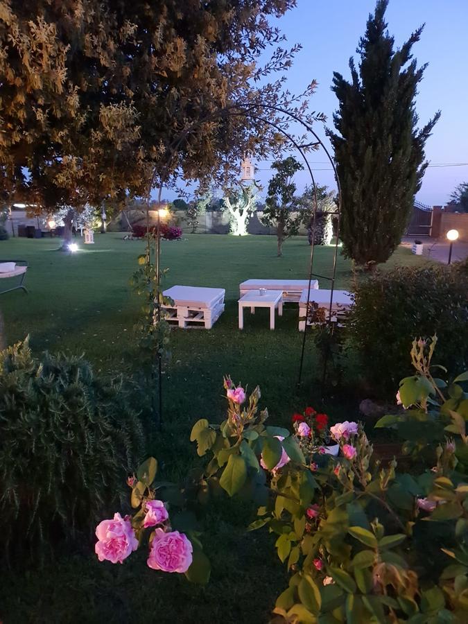 Elegance B&B Ladispoli Exterior photo